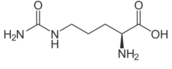 Citrulline Chemical Structure